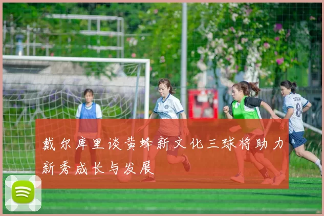 戴尔库里谈黄蜂新文化三球将助力新秀成长与发展