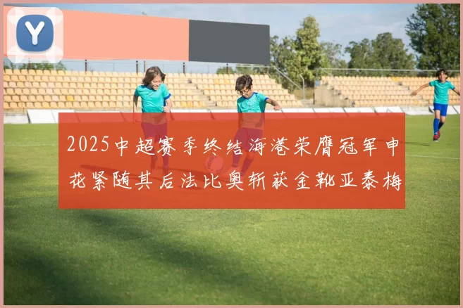 2025中超赛季终结海港荣膺冠军申花紧随其后法比奥斩获金靴亚泰梅州遗憾降级