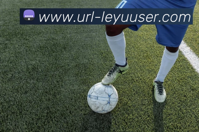 乐鱼体育平台生态图