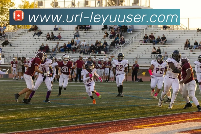 乐鱼体育APP 封面图